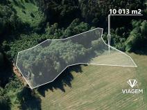 Prodej podílu lesa, Kaliště, 2503 m2