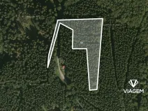 Prodej podílu lesa, Morávka, 5587 m2