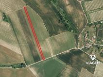 Prodej podílu pole, Valtice, 706 m2