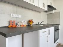 Pronájem bytu 1+1, Litvínov, U Bílého sloupu, 40 m2