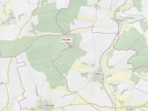 Dražba lesa, Milavče, 2398 m2