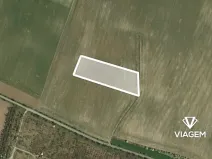 Prodej pole, Vinařice, 10383 m2