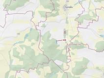 Dražba lesa, Kuřimany, 2526 m2