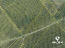 Prodej podílu pole, Moravská Nová Ves, 168 m2