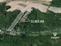 Prodej lesa, Horní Lhota, 11423 m2