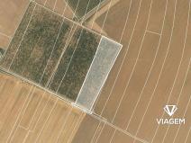 Prodej podílu pole, Chotiněves, 3468 m2