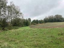 Dražba pole, Kostelec nad Černými lesy, 15764 m2