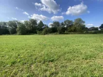 Dražba louky, Čížkov, 1885 m2