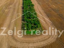 Prodej sadu/vinice, Zaječí, 8494 m2