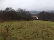 Dražba pole, Lovečkovice, 21494 m2