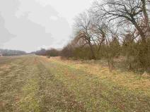 Prodej pozemku, Písečné - Marketa, 1097 m2