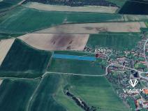 Prodej zahrady, Slabčice, 6749 m2