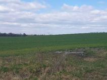 Dražba zahrady, Plzeň, 7558 m2