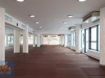 Pronájem obchodního prostoru, Praha - Vinohrady, Chrudimská, 360 m2