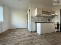 Pronájem bytu 3+1, Bílina - Teplické Předměstí, Sídliště Za Chlumem, 65 m2
