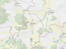 Dražba lesa, Kuřimany, 3255 m2