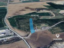 Prodej podílu pole, Nehvizdy, 1848 m2