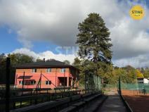 Pronájem bytu 1+1, Frýdlant nad Ostravicí - Frýdlant, 19 m2