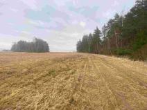 Prodej pole, Hospříz - Hrutkov, 7435 m2