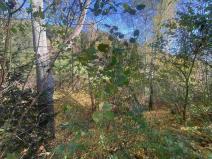 Prodej pozemku, Lučany nad Nisou - Jindřichov, 449 m2