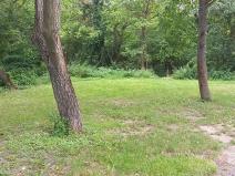 Pronájem zahrady, Horní Beřkovice, 550 m2