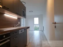 Pronájem bytu 1+kk, Plzeň, Goldscheiderova, 34 m2