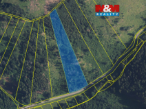 Prodej lesa, Nemile, 12967 m2