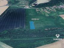 Prodej podílu pole, Veselíčko, 546 m2