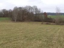 Dražba louky, Srby, 19946 m2