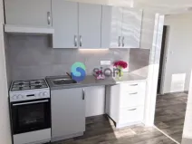 Prodej bytu 2+1, Ostrava - Bělský Les, Vlasty Vlasákové, 44 m2