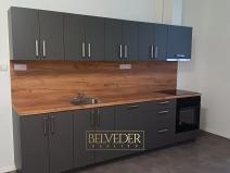 Pronájem bytu 3+kk, Teplice, Pražská, 51 m2