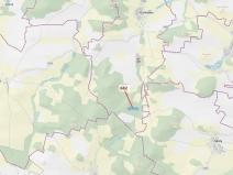 Dražba lesa, Kuřimany, 11584 m2