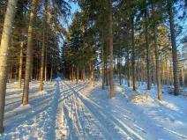 Prodej pozemku, Frýdštejn, 1080 m2