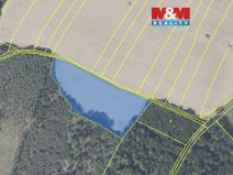 Prodej pole, Svatý Mikuláš, 11560 m2