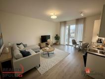 Pronájem bytu 1+kk, Brno - Trnitá, Křenová, 32 m2