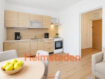 Pronájem bytu 1+1, Havířov - Šumbark, Opletalova, 28 m2