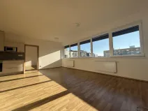 Pronájem bytu 3+kk, Pardubice - Zelené Předměstí, Hronovická, 100 m2