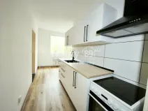 Pronájem bytu 2+1, Ústí nad Labem, Kmochova, 60 m2
