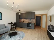 Pronájem bytu 1+kk, Praha, U Sluncové, 38 m2