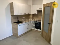 Pronájem bytu 1+1, Opava, Hviezdoslavova, 40 m2