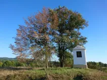 Prodej pozemku pro bydlení, Milešov, 1317 m2