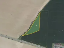 Prodej pole, Suchdol, 6976 m2