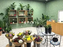 Pronájem obchodního prostoru, Brno, náměstí Svobody, 65 m2