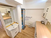 Pronájem bytu 1+1, Brno - Staré Brno, Vodní, 24 m2