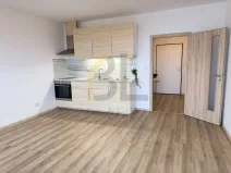 Pronájem bytu 1+kk, Rohatec, Moravní, 28 m2