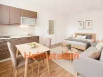 Pronájem bytu 1+kk, Horní Suchá, Dr. Glazera, 25 m2