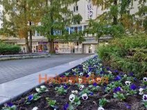 Pronájem kanceláře, Havířov - Město, nám. Republiky, 66 m2