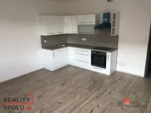 Pronájem bytu 2+kk, Kladno - Kročehlavy, Jaroslava Holečka, 49 m2