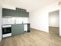 Pronájem bytu 1+1, Písek - Budějovické Předměstí, třída Přátelství, 37 m2