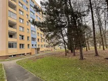 Prodej bytu 2+1, Olomouc, Na Letné, 43 m2